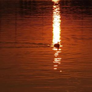 浴池洗澡操丰满性感岳母
